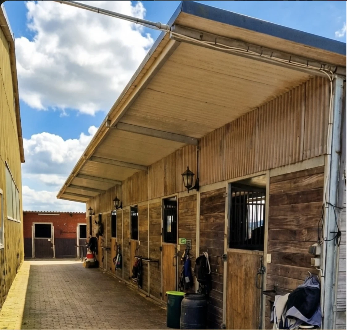 Boxentüren an der Stallgasse